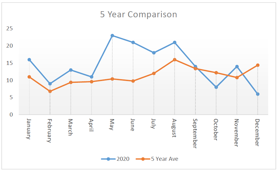 2020 homicides by month.png